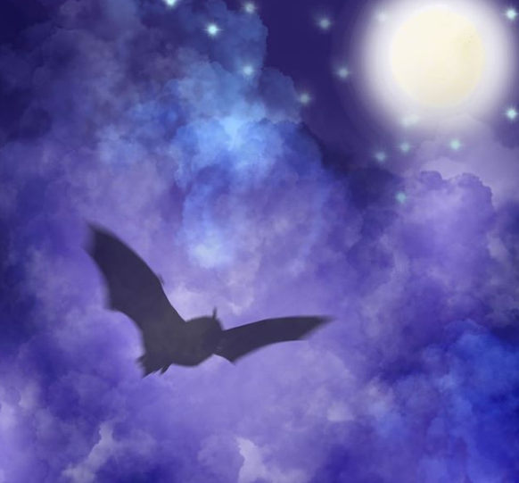 bat in the night